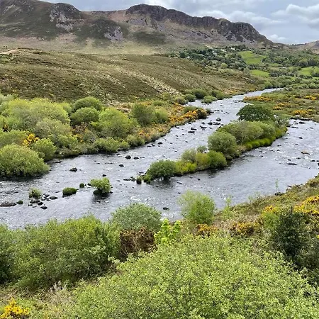 Red Fox On The Ring Of Kerry Chalet Glenbeigh