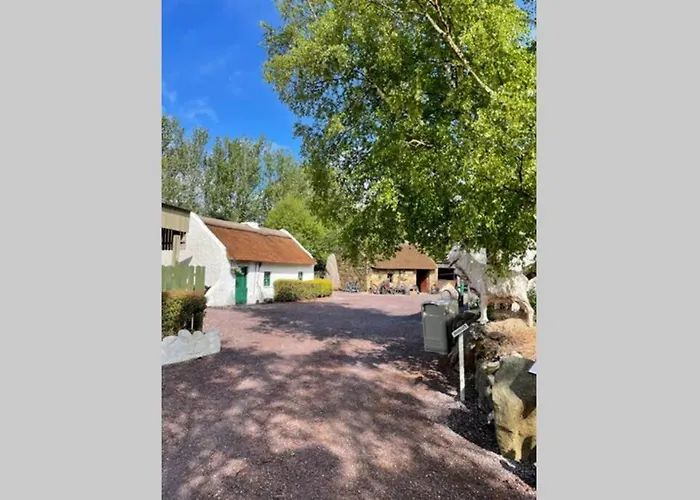 Red Fox On The Ring Of Kerry Chalet Glenbeigh