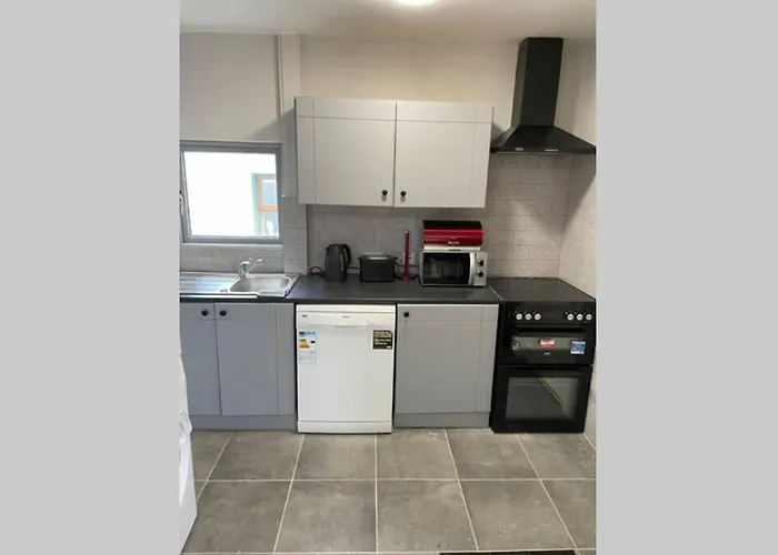 Red Fox On The Ring Of Kerry Chalet Glenbeigh