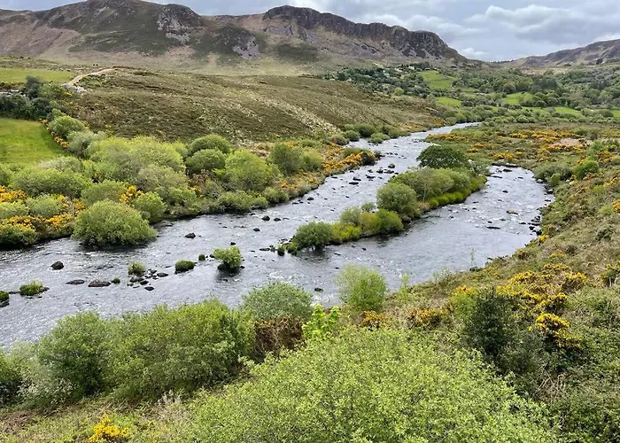 Red Fox On The Ring Of Kerry Chalet Glenbeigh