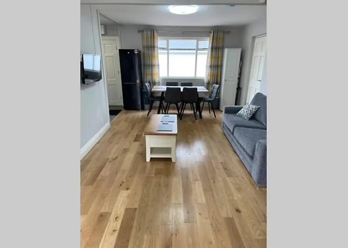 Red Fox On The Ring Of Kerry * Glenbeigh