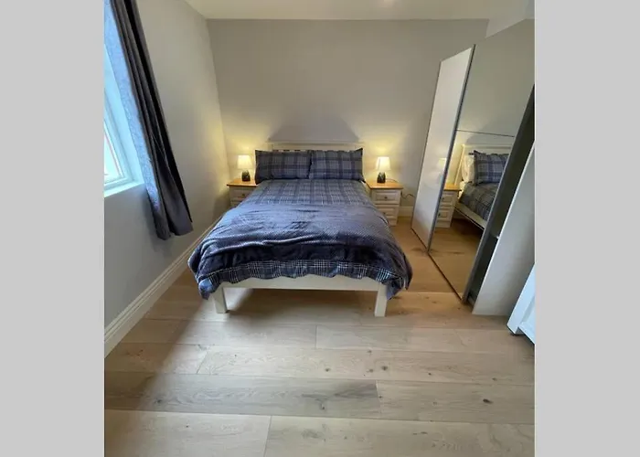 Red Fox On The Ring Of Kerry Glenbeigh