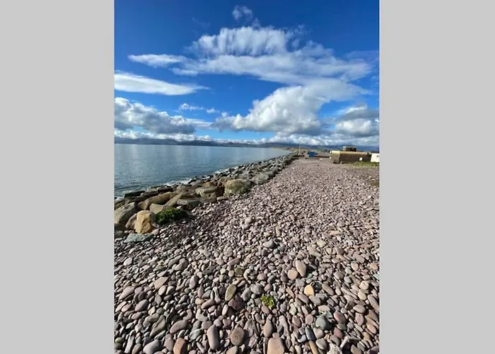 Red Fox On The Ring Of Kerry Chalet Glenbeigh