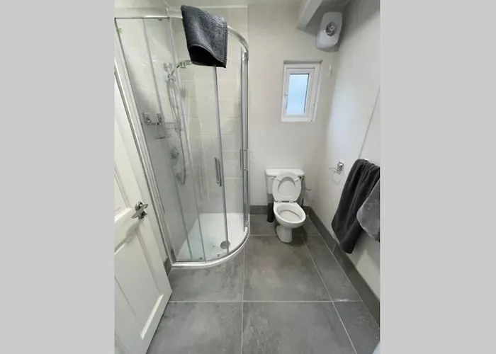 Alpstuga Red Fox On The Ring Of Kerry *